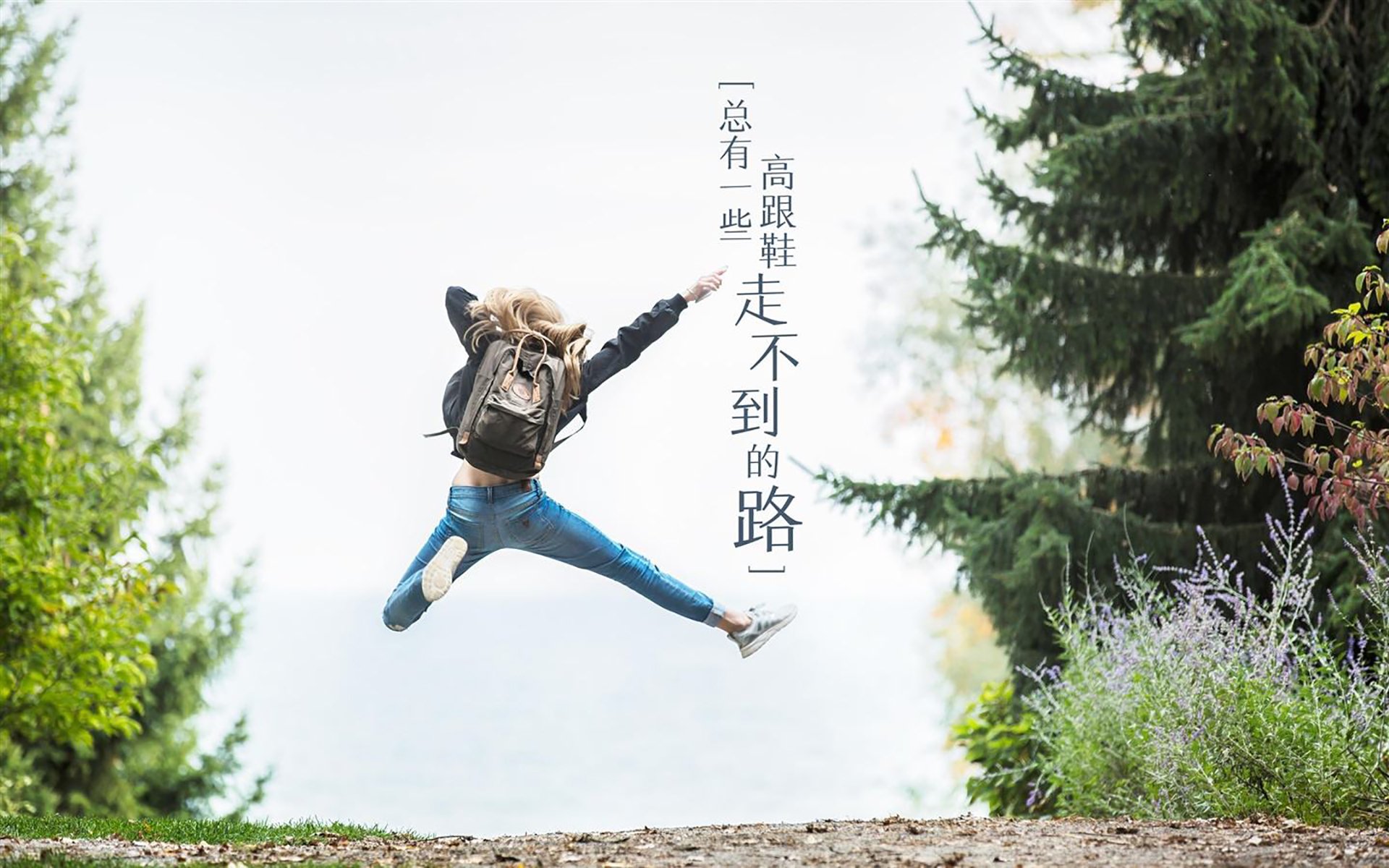 JiuyouAPP下载-_猛龙队韧性十足，逆转战胜强敌_，猛龙队主力