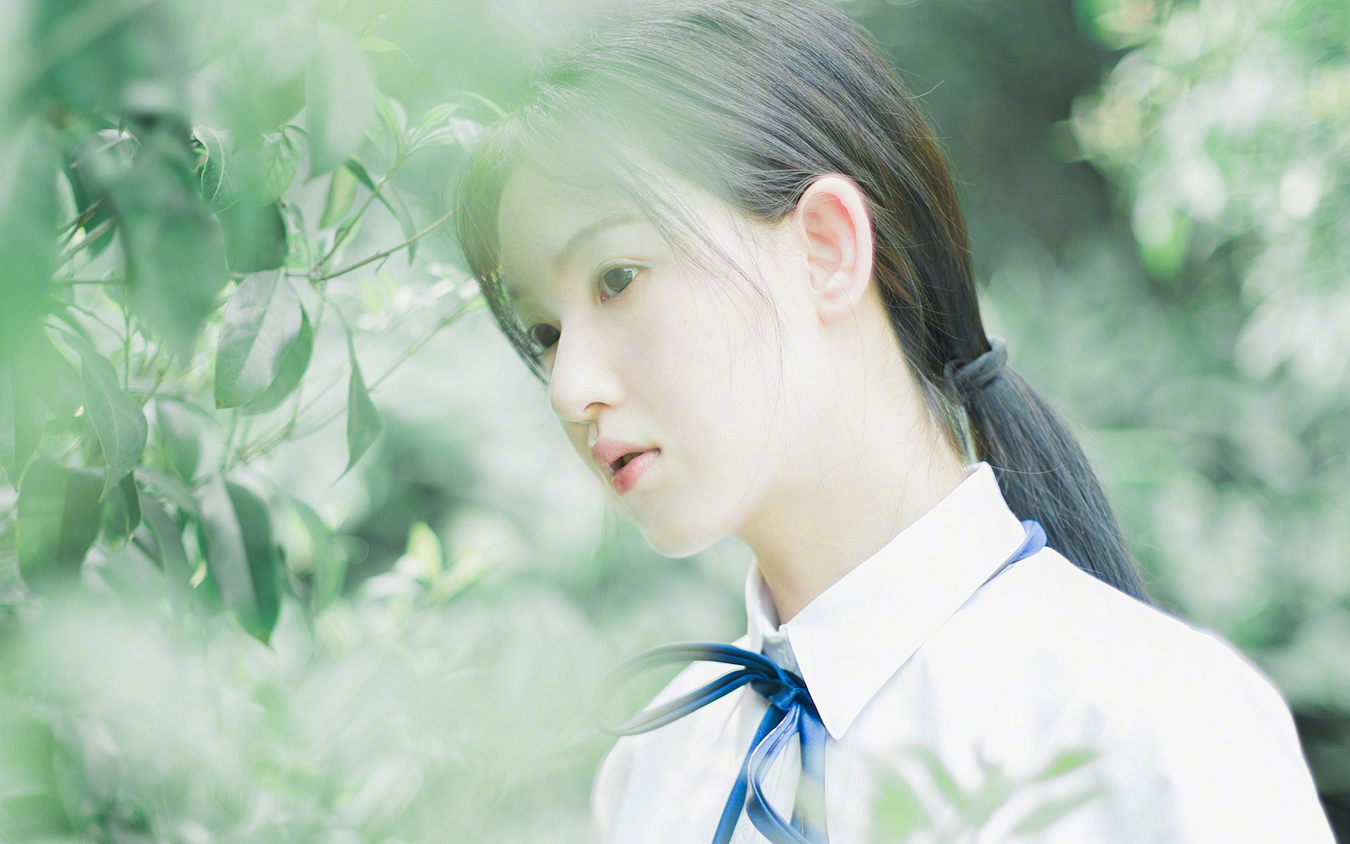 Jiuyou-_鹈鹕一战成名，力挫联盟领头羊_，鹈鹕之前