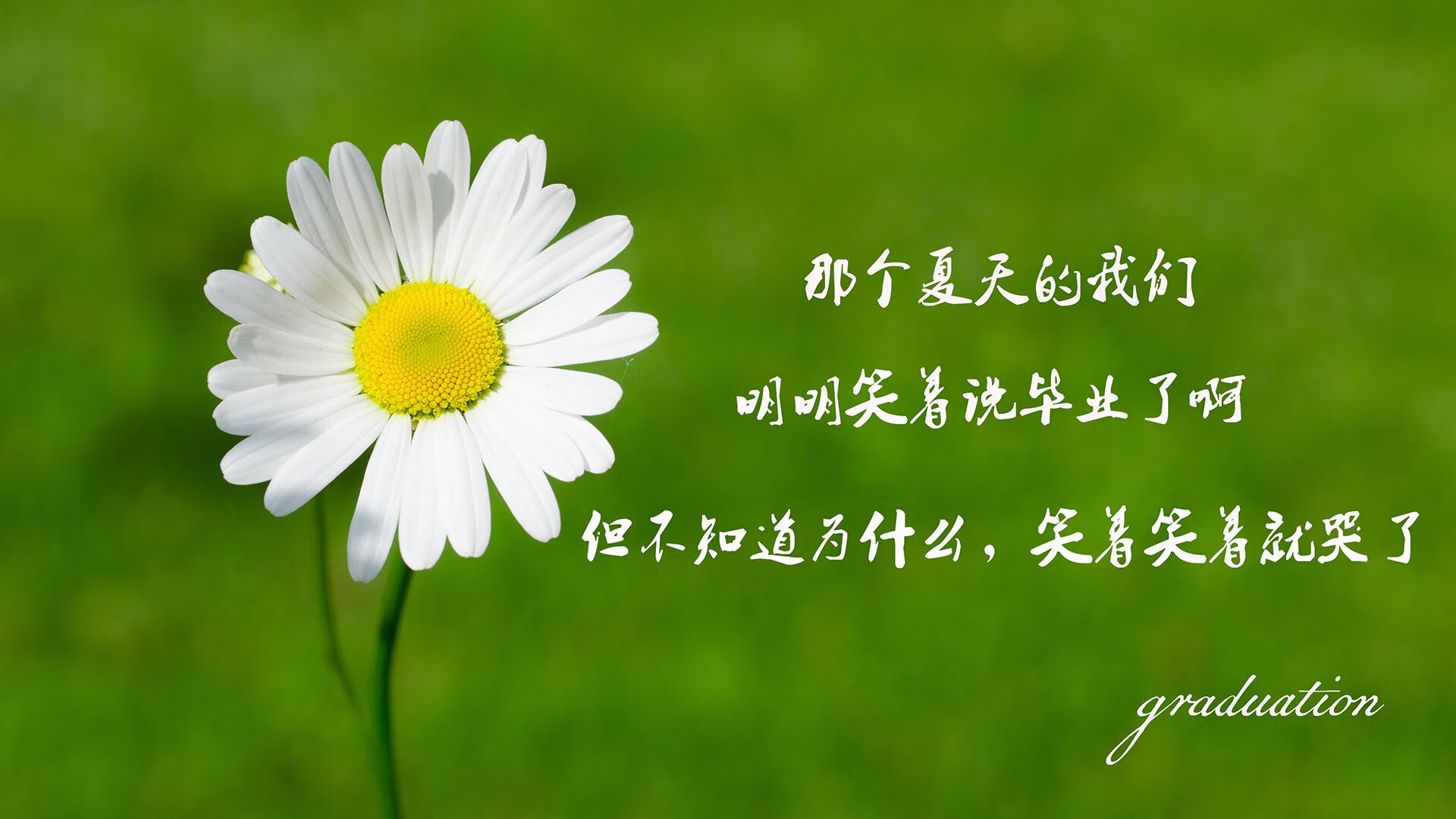 九游电脑版-CBA赛场上的精彩瞬间：球员飞身扣篮引爆现场，cba扣篮王是谁