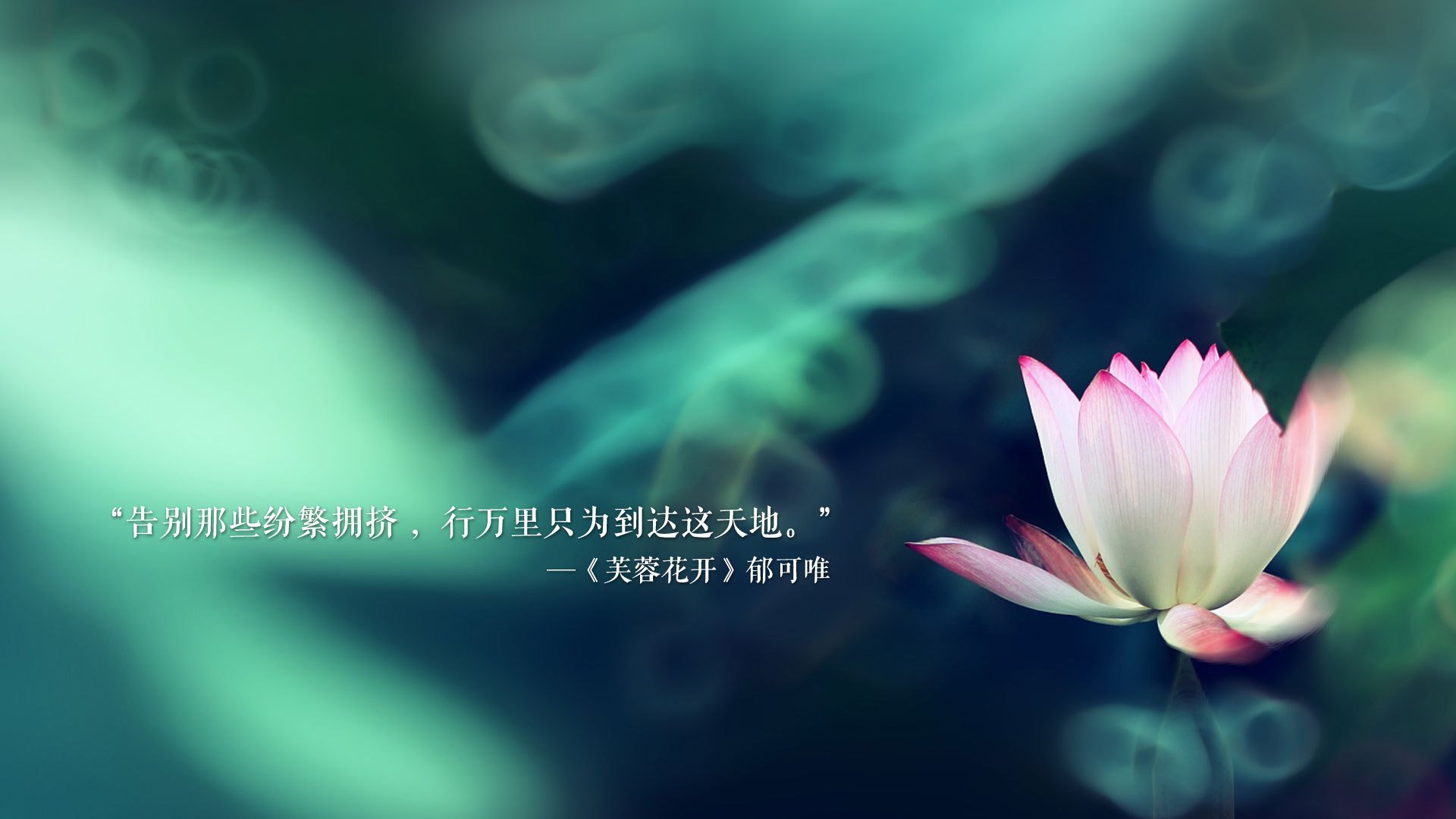 九游(jiuyou)官方网站-Cloud9世界赛目标直指八强，cloud9夺冠阵容