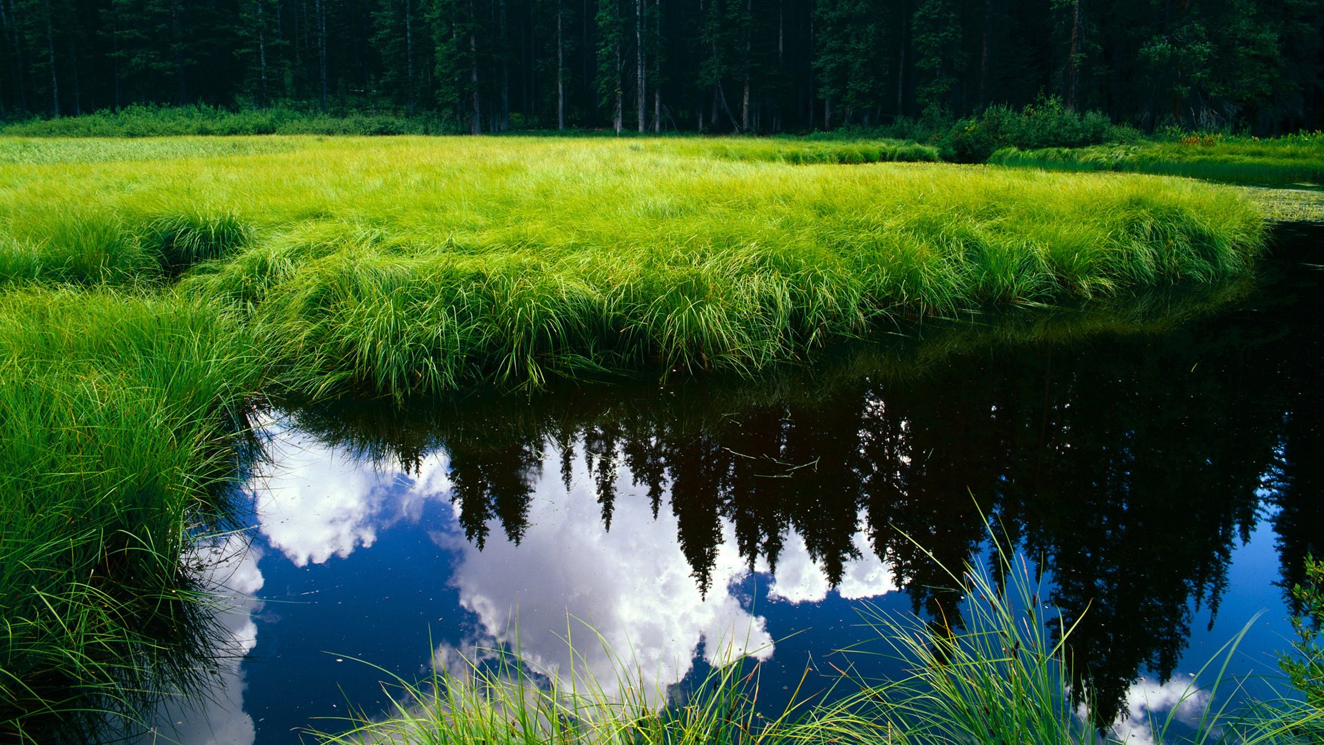九游游戏中心官网-哈萨克斯坦队悲剧绝杀，葡萄牙队后来居上，哈萨克斯坦欧洲足协