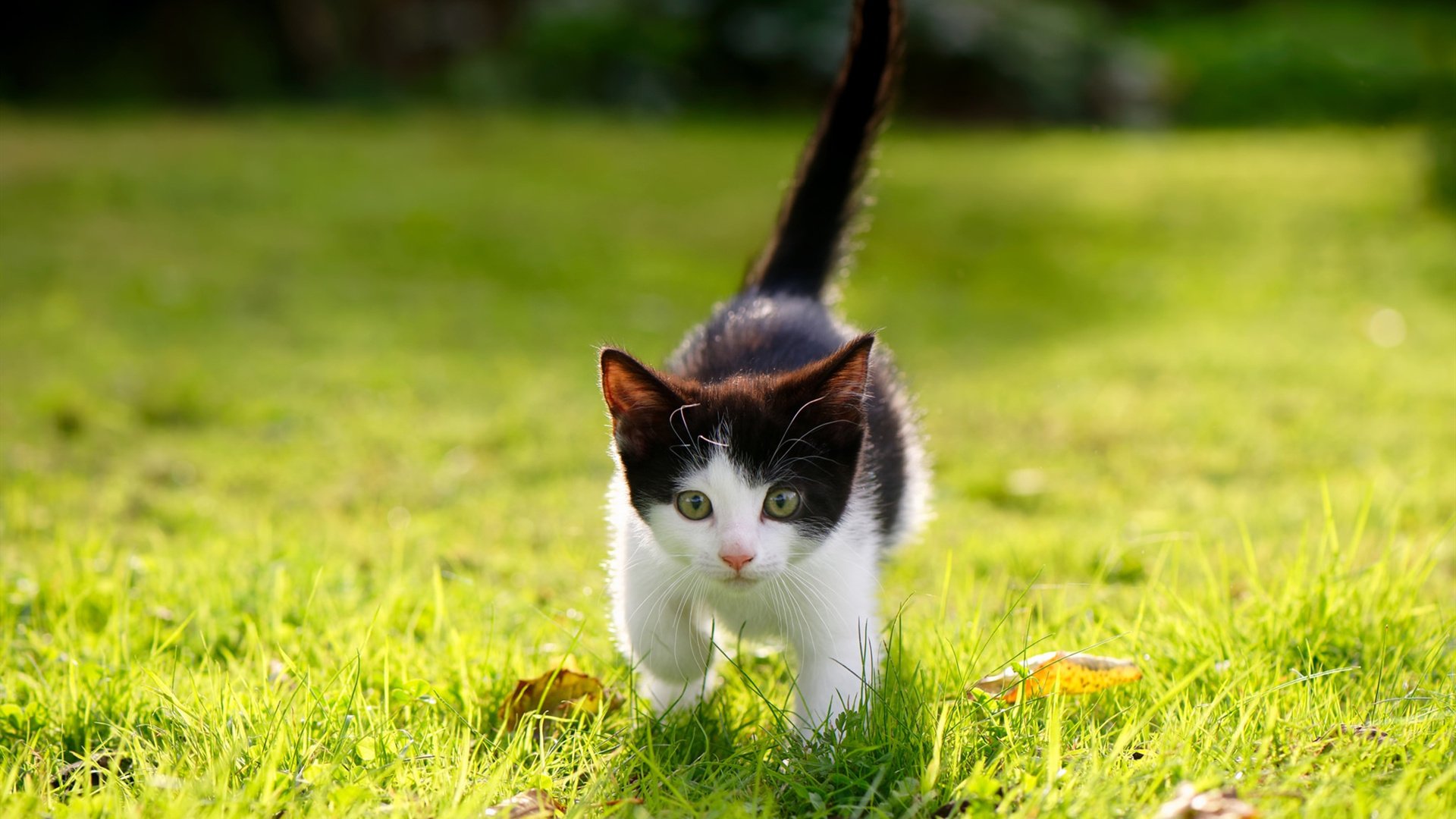 足球比赛中防守端的战术如何演绎?,足球防守战术五大原则