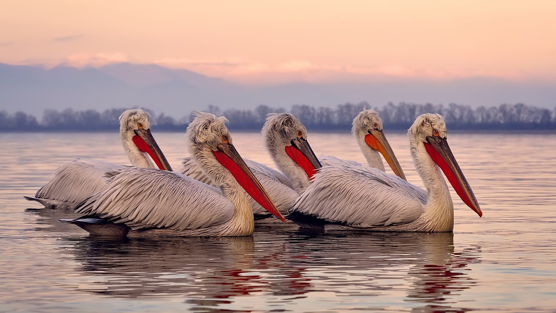 九游网页版官网-运动员焦点：球员的日常训练与生活揭秘，职业球员日常训练