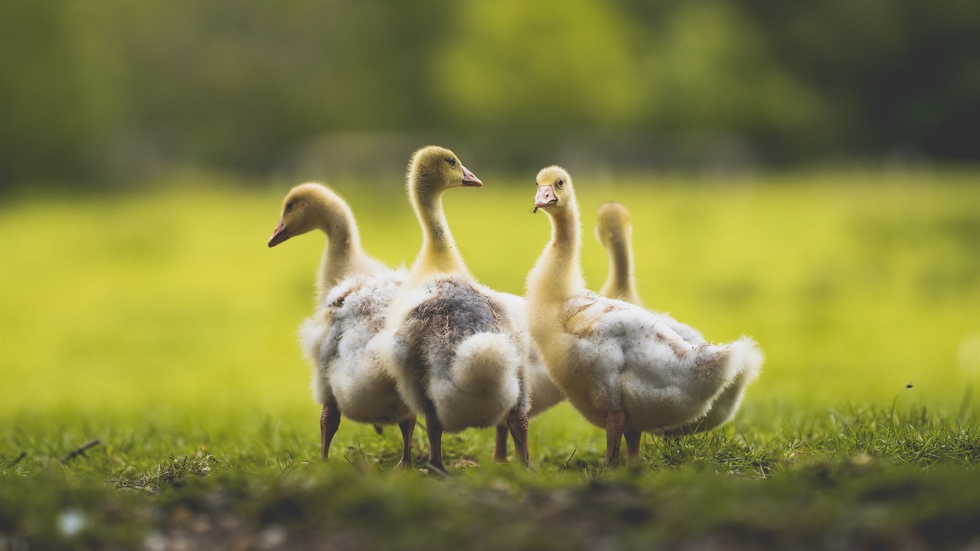 九游游戏中心-中国男篮引入数据支持提升训练精准度，中国男篮训练视频录像