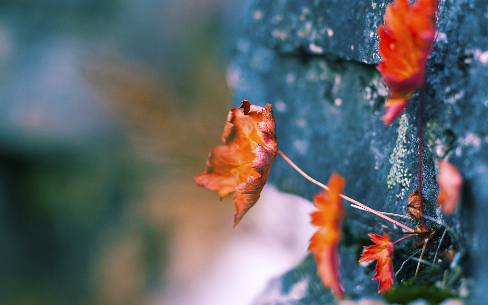 球队整体节奏感是否影响最后两分钟的执行力,nba球队节奏
