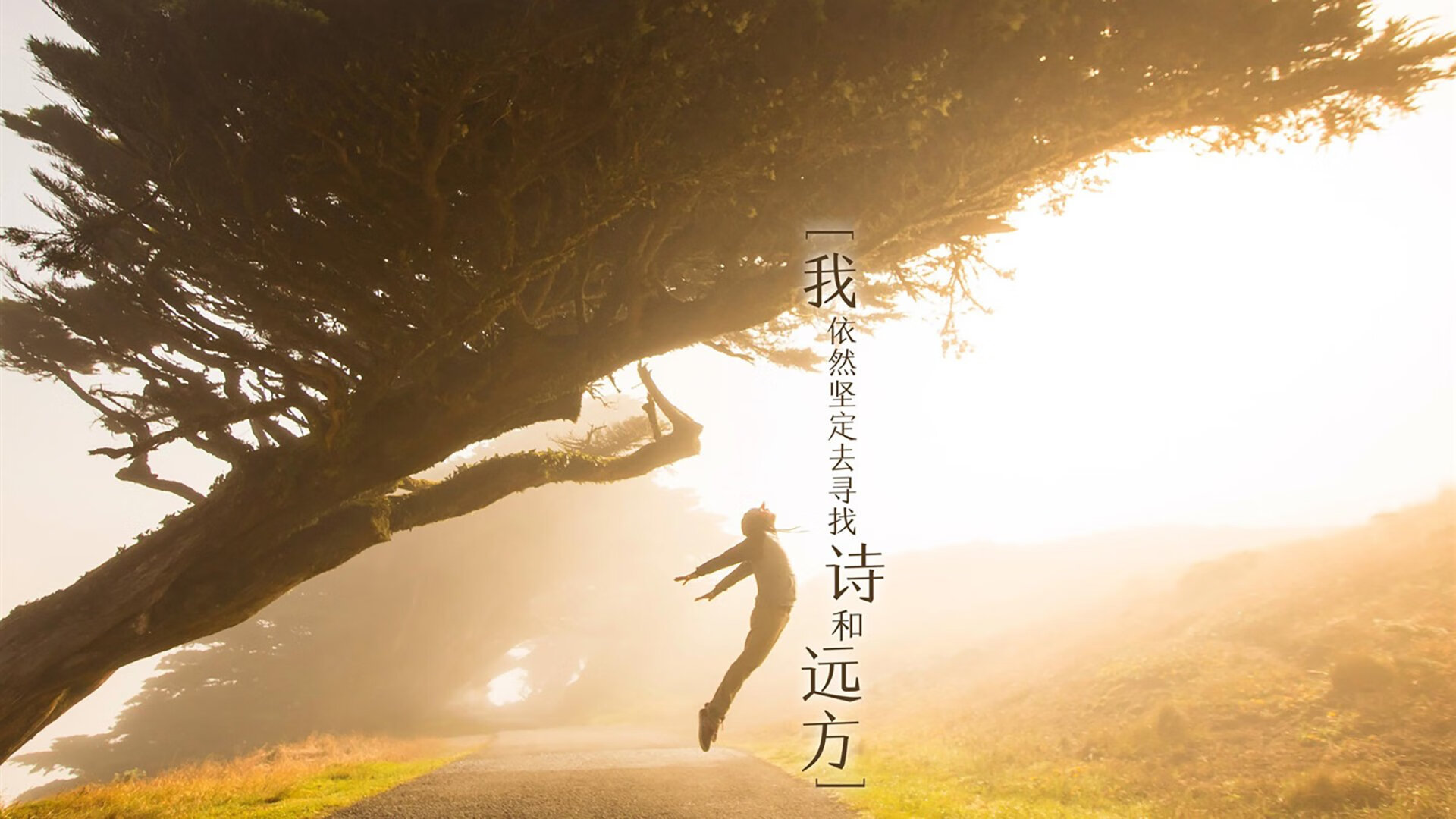 美国队未来发展策略:如何通过技术升级突破比赛瓶颈,美国队战术