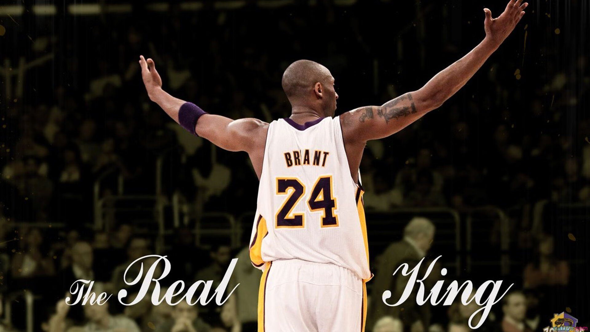 观众互动体验感提升粉丝互动体验提升,观众互动道具