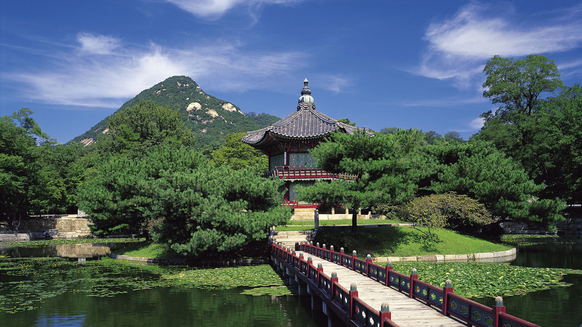 九游游戏中心官网-林丹重回母校激励学生追逐梦想，林丹 上校