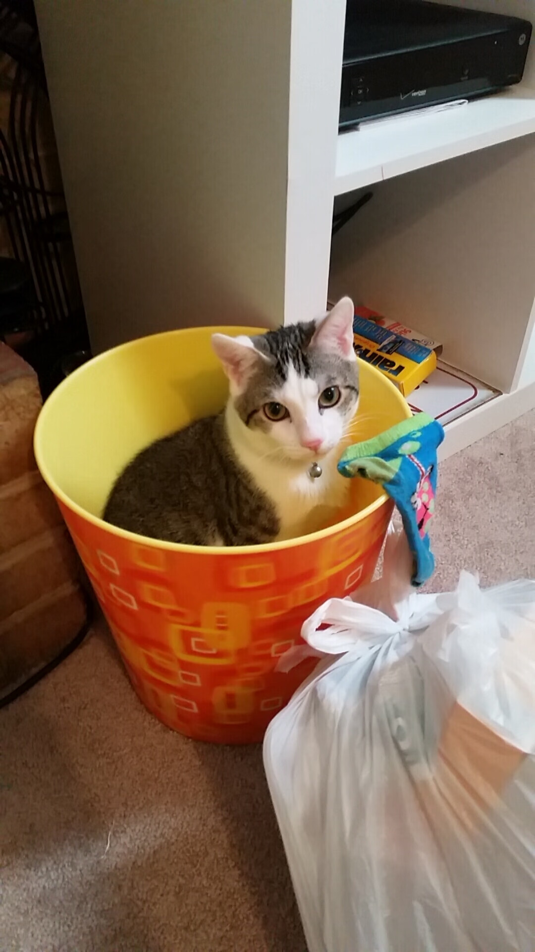 九游网页版入口-独行侠小前锋更新恢复进度恢复顺利，独行侠半场领先