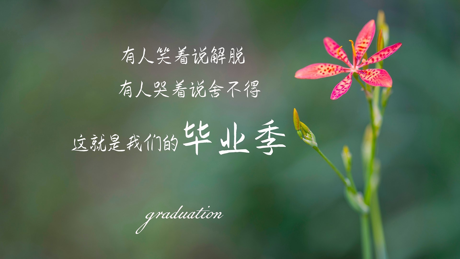 九游娱乐(jiuyou)官方网站-西甲天王带球冲锋：激烈场面高潮不断，西甲最新用球